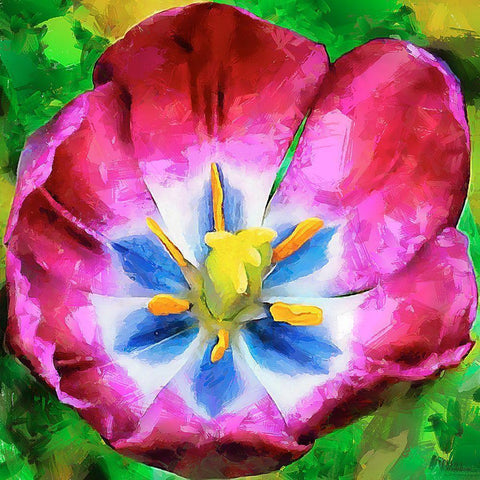 Spring Floral Variations II Black Modern Wood Framed Art Print with Double Matting by Medeiros, Celito