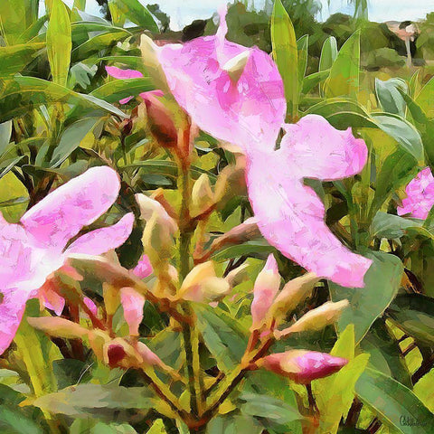 Spring Floral Variations IV Gold Ornate Wood Framed Art Print with Double Matting by Medeiros, Celito