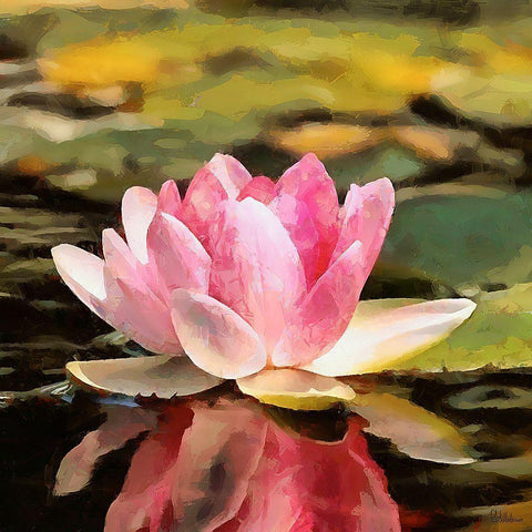 Spring Floral Variations VI Black Modern Wood Framed Art Print with Double Matting by Medeiros, Celito