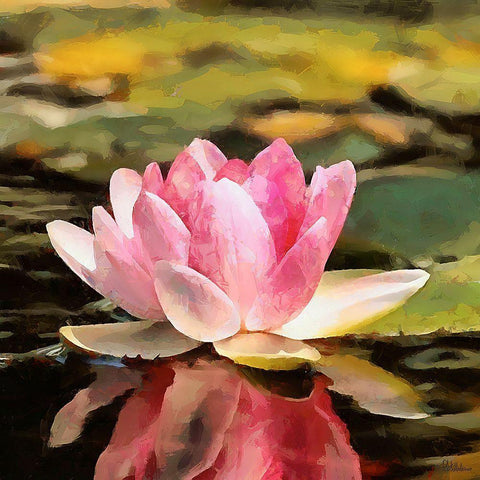 Spring Floral Variations VI Black Ornate Wood Framed Art Print with Double Matting by Medeiros, Celito