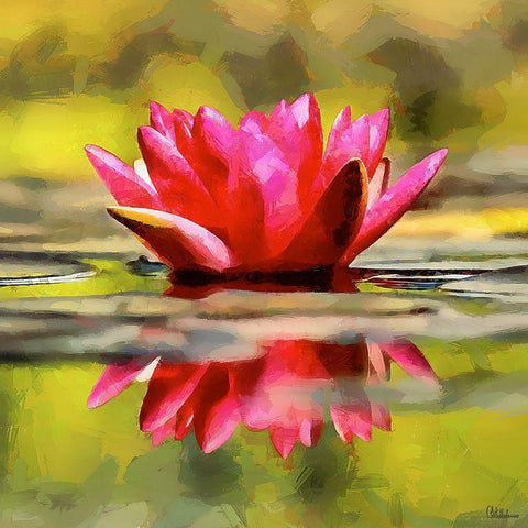 Spring Floral Variations VII Black Modern Wood Framed Art Print by Medeiros, Celito