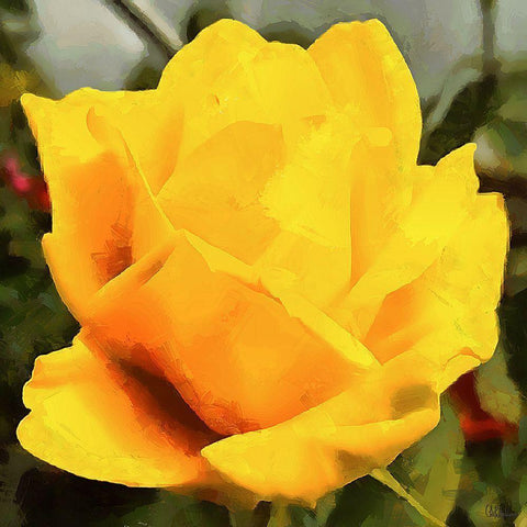 Spring Floral Variations VIII Gold Ornate Wood Framed Art Print with Double Matting by Medeiros, Celito