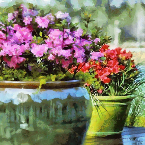 Pink and Red flowers in the Pot Black Modern Wood Framed Art Print with Double Matting by Medeiros, Celito