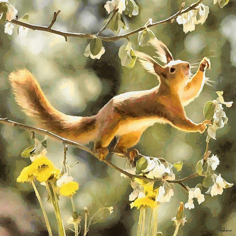 Happy Squirrel Black Modern Wood Framed Art Print by Medeiros, Celito