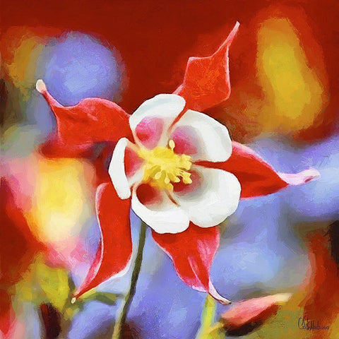 Orchids IX Black Modern Wood Framed Art Print with Double Matting by Medeiros, Celito