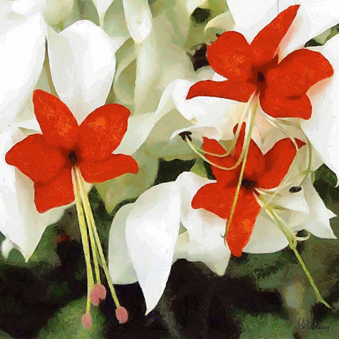 Orchids X White Modern Wood Framed Art Print with Double Matting by Medeiros, Celito