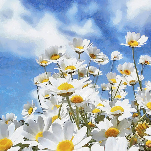 Daisies Black Modern Wood Framed Art Print with Double Matting by Medeiros, Celito
