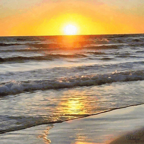 Golden Sunset I Black Modern Wood Framed Art Print with Double Matting by Medeiros, Celito