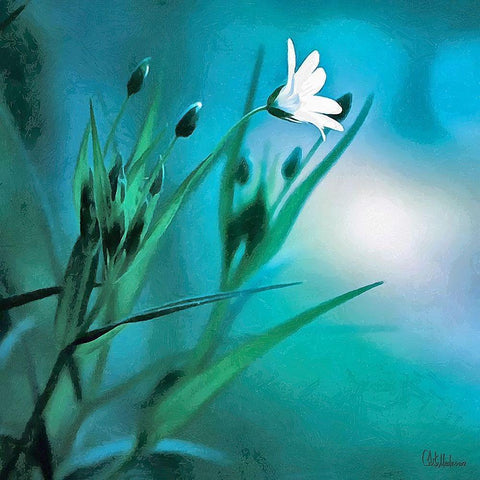 Flowers on Turquiese Background II Black Modern Wood Framed Art Print by Medeiros, Celito