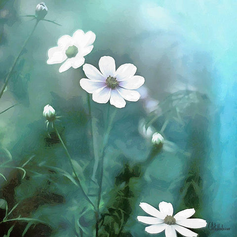 Flowers on Turquiese Background III Black Modern Wood Framed Art Print by Medeiros, Celito