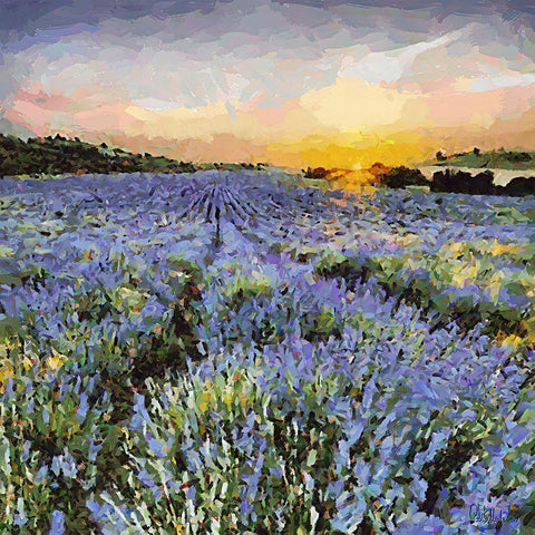 Lavender Field I White Modern Wood Framed Art Print by Medeiros, Celito