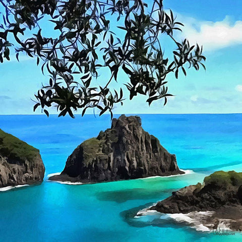 Tropical Coast I Black Modern Wood Framed Art Print by Medeiros, Celito