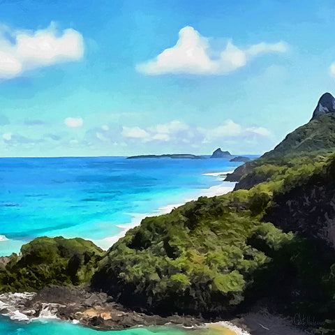 Tropical Coast II White Modern Wood Framed Art Print with Double Matting by Medeiros, Celito