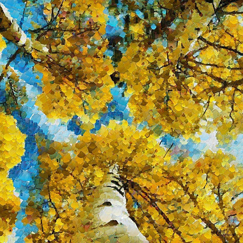 Collectio of Bloomin and Autumn Trees I White Modern Wood Framed Art Print by Medeiros, Celito