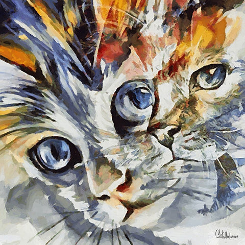 Two Cats White Modern Wood Framed Art Print with Double Matting by Medeiros, Celito