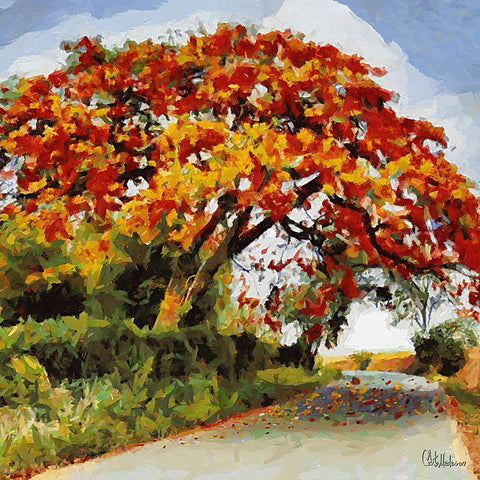 Big red Flowering Tree White Modern Wood Framed Art Print with Double Matting by Medeiros, Celito