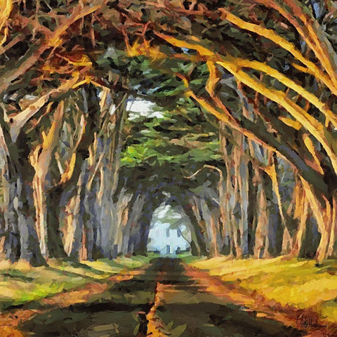 Alley Like a Fairy Tale Black Modern Wood Framed Art Print by Medeiros, Celito
