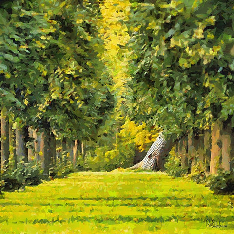 Fresh Green Forest White Modern Wood Framed Art Print with Double Matting by Medeiros, Celito