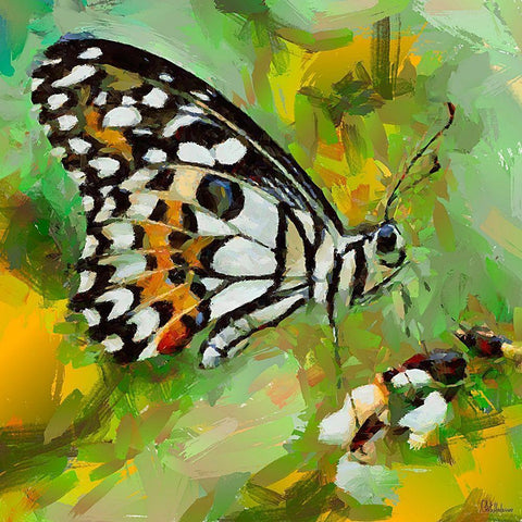 Butterfly Wings I White Modern Wood Framed Art Print by Medeiros, Celito