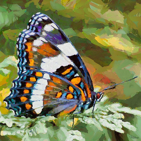 Butterfly Wings II White Modern Wood Framed Art Print by Medeiros, Celito