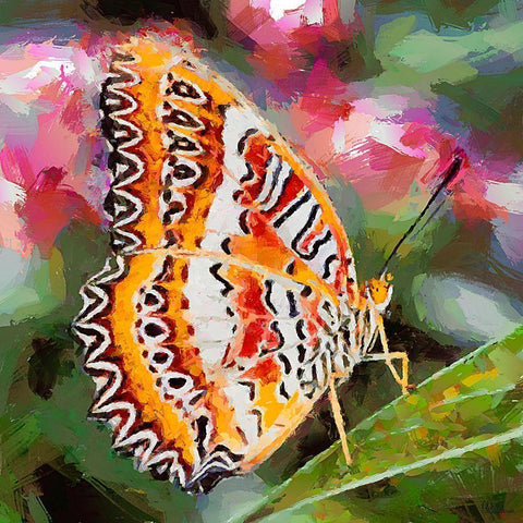 Butterfly Wings III Black Modern Wood Framed Art Print with Double Matting by Medeiros, Celito