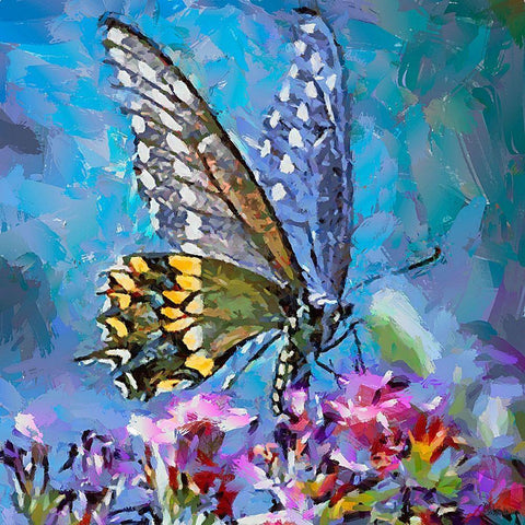 Butterfly Wings IV Black Modern Wood Framed Art Print with Double Matting by Medeiros, Celito