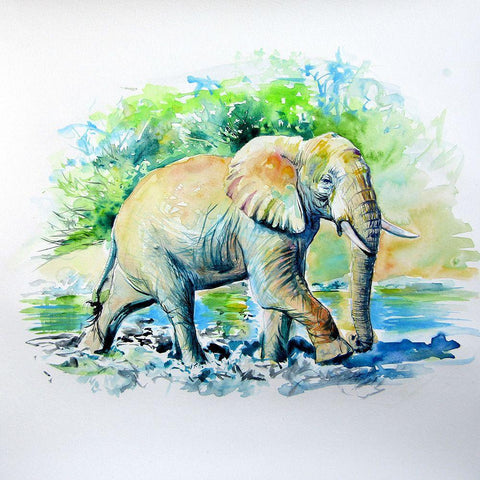 Elephant in the Mud White Modern Wood Framed Art Print with Double Matting by Kovacs, Anna Brigite