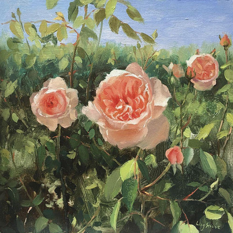 Garden Roses V White Modern Wood Framed Art Print with Double Matting by Strube, Ling