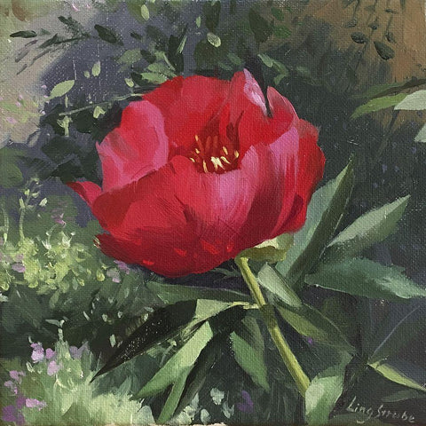 Peony Black Modern Wood Framed Art Print with Double Matting by Strube, Ling