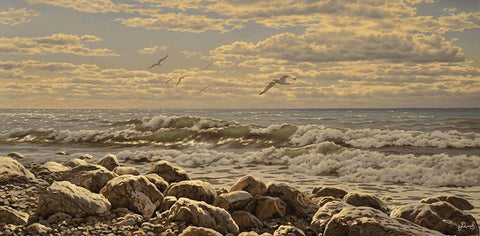 Sea and Stones I Black Ornate Wood Framed Art Print with Double Matting by Adamov, Alexey