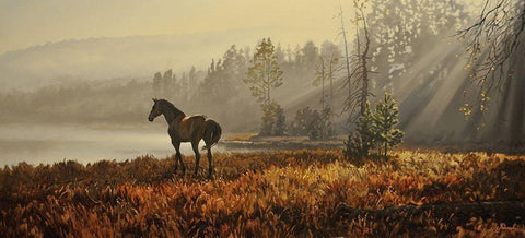 Landscape with a Horse White Modern Wood Framed Art Print with Double Matting by Adamov, Alexey