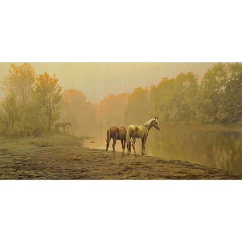 Horses in the Fog White Modern Wood Framed Art Print by Adamov, Alexey