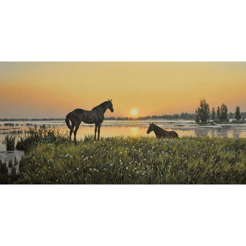 Horses by Sunrise White Modern Wood Framed Art Print by Adamov, Alexey