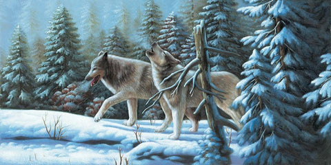 Wolf Brothers in Wintertime Black Ornate Wood Framed Art Print with Double Matting by Novak, Bohuslav