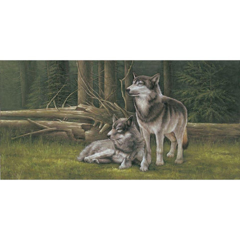 Wolf Brothers in Summer White Modern Wood Framed Art Print by Novak, Bohuslav