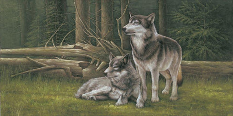 Wolf Brothers in Summer Black Ornate Wood Framed Art Print with Double Matting by Novak, Bohuslav