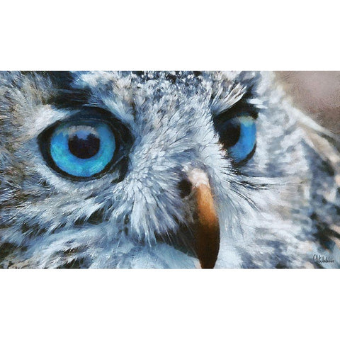 Owls Eyes I White Modern Wood Framed Art Print by Medeiros, Celito