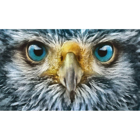 Owls Eyes II Gold Ornate Wood Framed Art Print with Double Matting by Medeiros, Celito