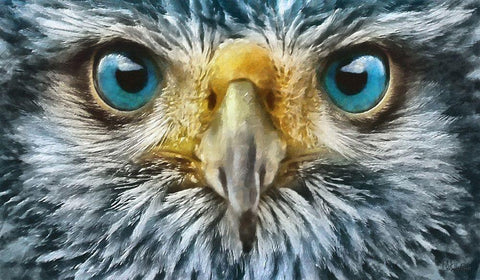 Owls Eyes II White Modern Wood Framed Art Print with Double Matting by Medeiros, Celito