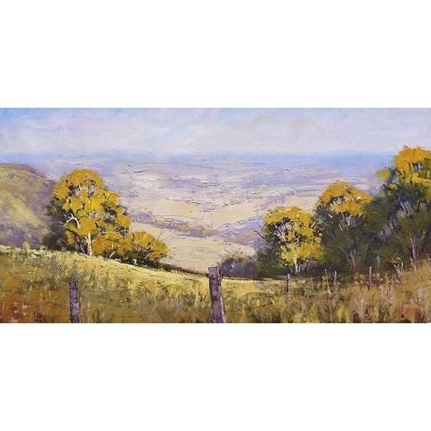 Summer Haze Australia Black Modern Wood Framed Art Print by Gercken, Graham