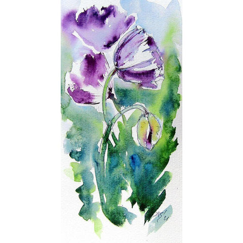 Purple Poppies White Modern Wood Framed Art Print by Kovacs, Anna Brigite