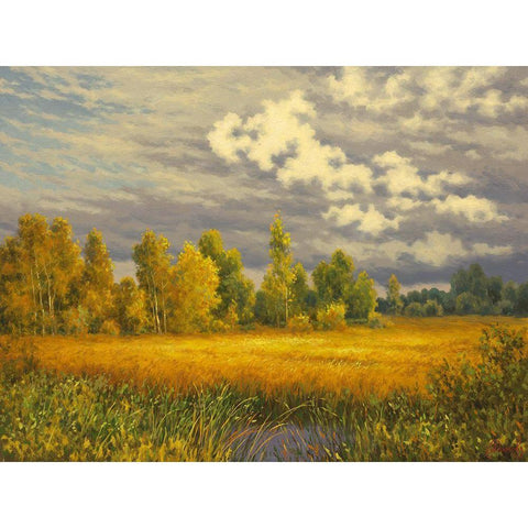 Clouds in Summer Gold Ornate Wood Framed Art Print with Double Matting by Adamov, Alexey