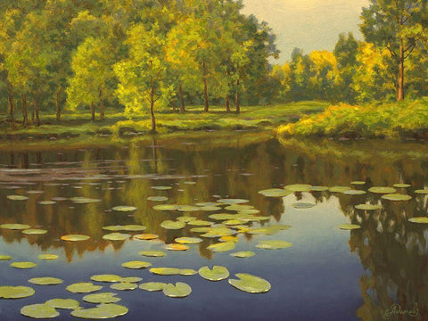 Water Lilies on the River II White Modern Wood Framed Art Print with Double Matting by Adamov, Alexey