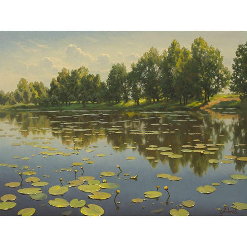 Water Lilies on the River III Black Modern Wood Framed Art Print with Double Matting by Adamov, Alexey
