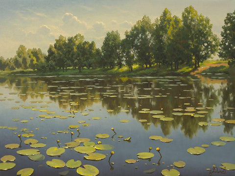 Water Lilies on the River III White Modern Wood Framed Art Print with Double Matting by Adamov, Alexey