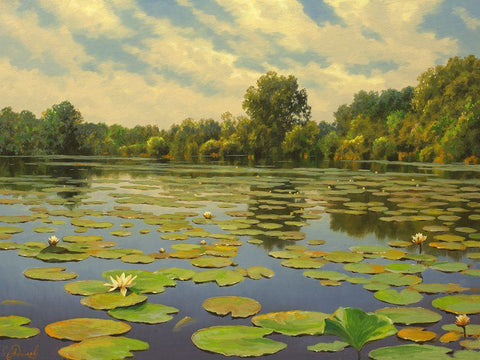 Water Lilies on the River IV Black Ornate Wood Framed Art Print with Double Matting by Adamov, Alexey