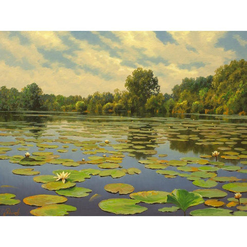 Water Lilies on the River IV White Modern Wood Framed Art Print by Adamov, Alexey