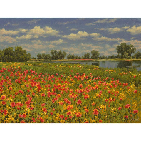 Poppies by the River II White Modern Wood Framed Art Print by Adamov, Alexey