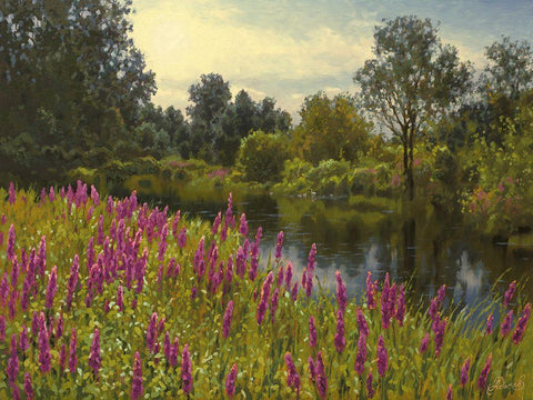 Lupins by the River White Modern Wood Framed Art Print with Double Matting by Adamov, Alexey