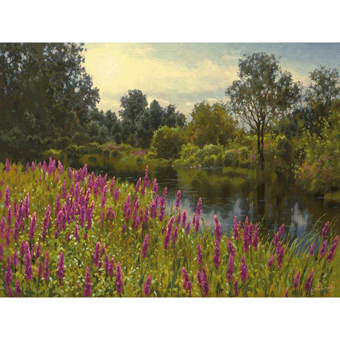Lupins by the River Black Modern Wood Framed Art Print by Adamov, Alexey